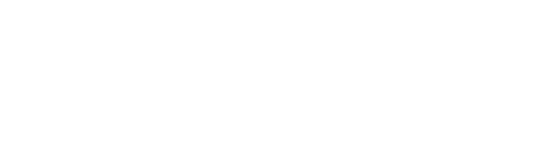 DICOTA